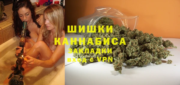 ГАЛЛЮЦИНОГЕННЫЕ ГРИБЫ Надым