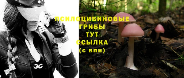 ГАЛЛЮЦИНОГЕННЫЕ ГРИБЫ Надым